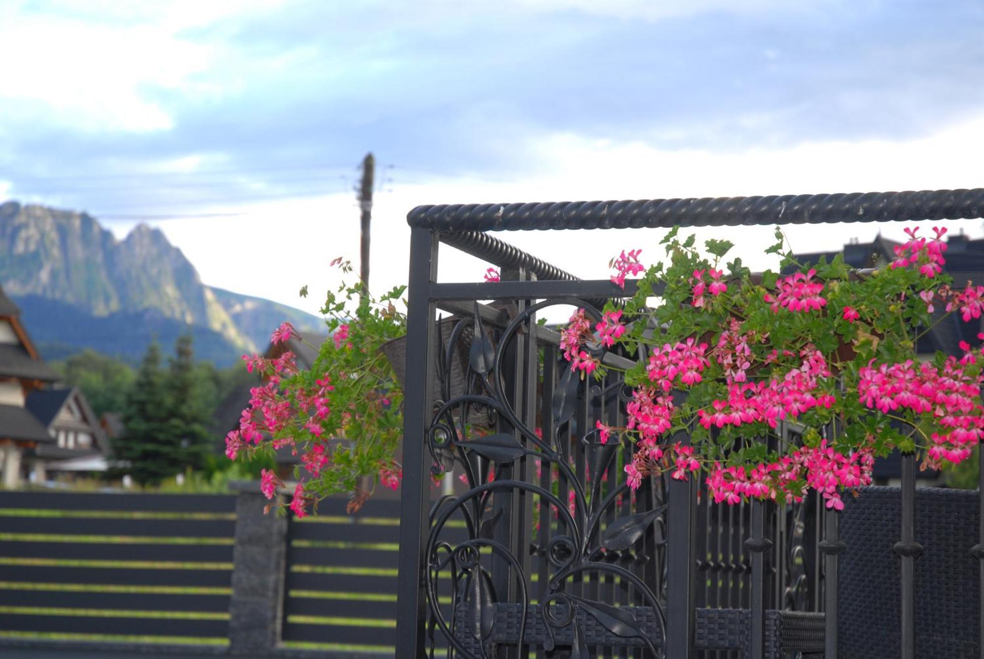 "Czarna Turnia "Zakopane Bed & Breakfast Ngoại thất bức ảnh