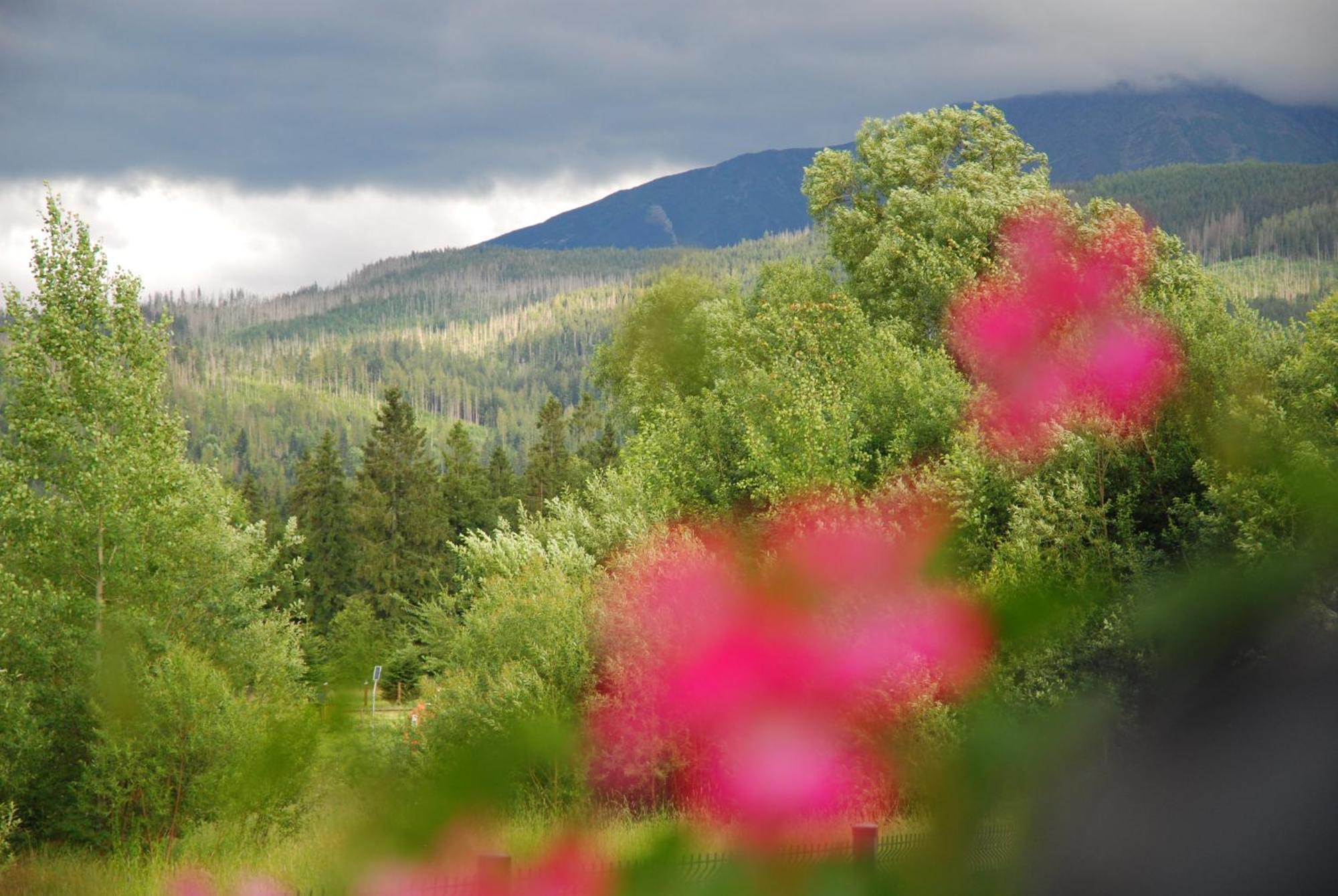 "Czarna Turnia "Zakopane Bed & Breakfast Ngoại thất bức ảnh