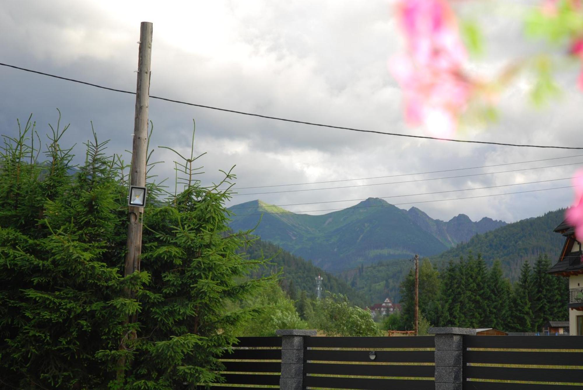 "Czarna Turnia "Zakopane Bed & Breakfast Ngoại thất bức ảnh