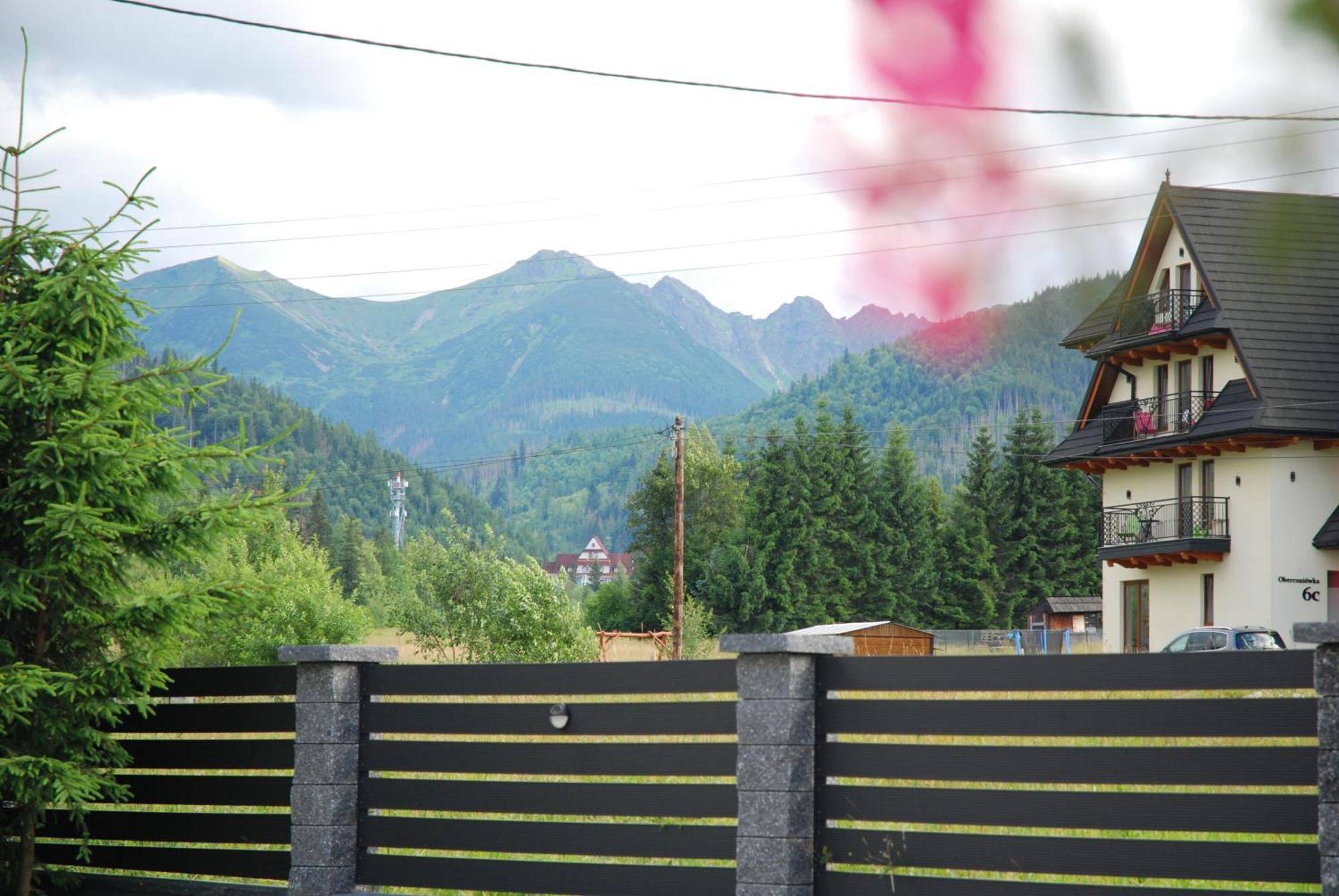 "Czarna Turnia "Zakopane Bed & Breakfast Ngoại thất bức ảnh